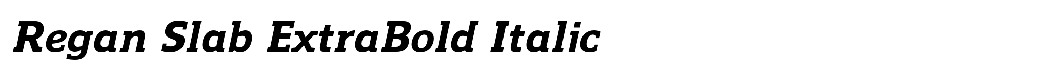 Regan Slab ExtraBold Italic image